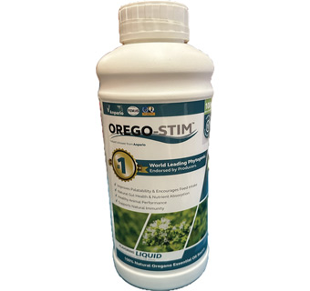 OREGO-STIM® LIQUID QUART 1/PKG