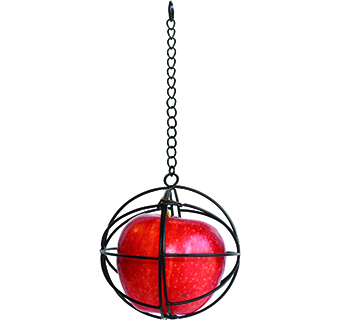 LITTLE GIANT® CHICKEN TREAT BALL 4 IN 1/PKG