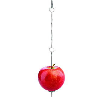 LITTLE GIANT® CHICKEN TREAT SKEWER 4 IN 1/PKG