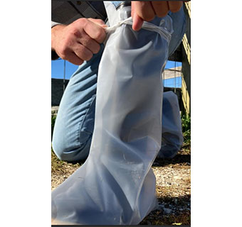 BOOT COVER SHARPLEX 4MIL L CLEAR 50S