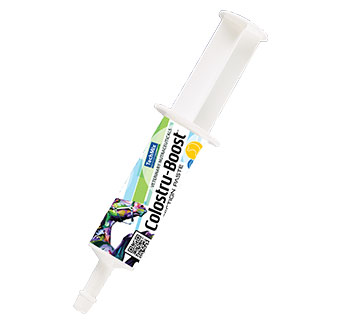 COLOSTRU-BOOST™ PROTECTION PASTE 80 G 1/PKG