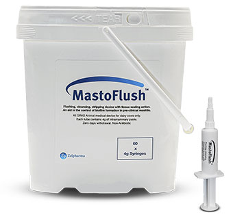 MASTOFLUSH FLUSHING AND STRIPPING DEVICE 4 G SYRINGE 60/PKG
