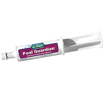 KAUFFMAN’S® FOAL GUARDIAN™ PASTE 60 G TUBE 1/PKG
