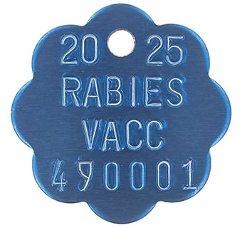 Tags - Microchip and Rabies