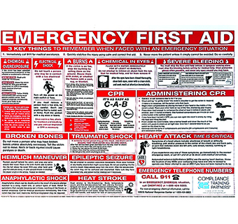 FIRST AID RESPONSE POSTER 22 IN X 26 IN 1/PKG