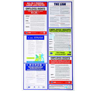 FEDERAL LABOR LAW WALL CHART (COVERS 6 LAWS) 15 IN X 31 IN 1/PKG