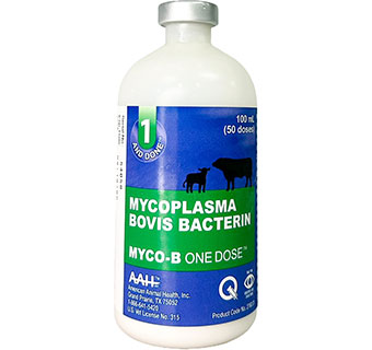 MYCO-B ONE DOSE MYCOPLASMA BOVIS VACCINE (50 DOSE) 100 ML 1/PKG