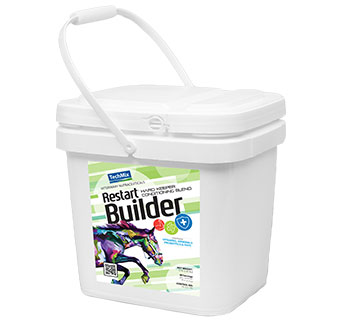 RESTART® BUILDER DAILY EQUINE SUPPLEMENT 15 LB 1/PKG