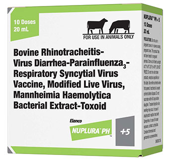 NUPLURA® PH+5 CATTLE VACCINE (10 DOSES) 20 ML 1/PKG