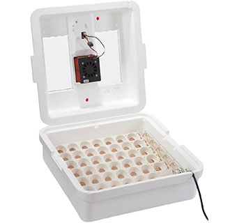 LITTLE GIANT® DIGITAL EGG INCUBATOR WITH FAN AND AUTOMATIC EGG TURNER