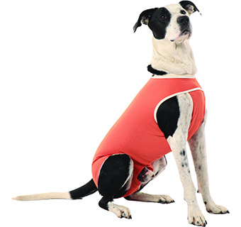COPPERBODY® PROTECTIVE SUIT MALE DOG CASTRATION SIZE 13 (88-99 LB) 1/PKG