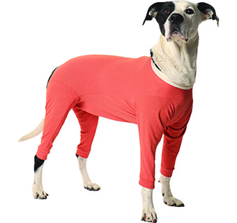 COPPERBODY® PROTECTIVE SUIT 4-LEGS SIZE 12 (77-88 LB) 1/PKG