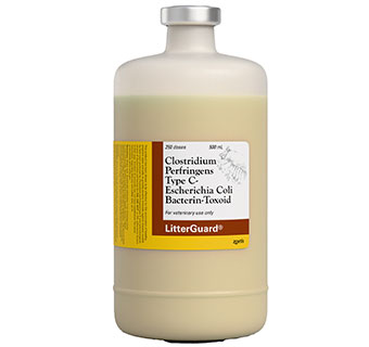 LITTERGUARD® (250 DOSES) 500 ML 1/PKG