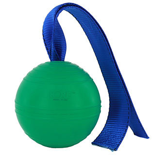 PETKORE™ KOREFLEX BALL & TAIL FOR EQUINE EXTRA LARGE 4.75 IN GREEN 1/PKG