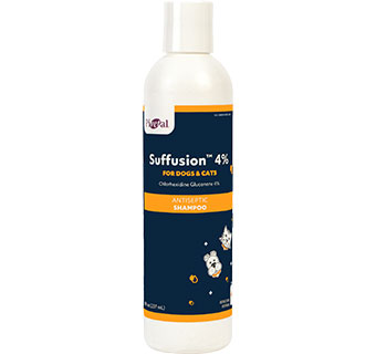 PIVETAL® SUFFUSION™ 4% SHAMPOO 8 OZ 1/PKG