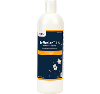 PIVETAL® SUFFUSION™ 4% SHAMPOO 16 OZ 1/PKG