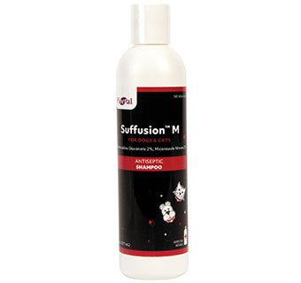 PIVETAL® SUFFUSION™ M SHAMPOO 8 OZ 1/PKG