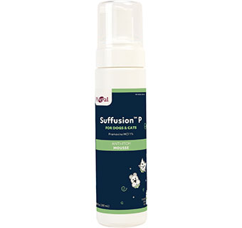 PIVETAL® SUFFUSION™ P MOUSSE 6.8 OZ 1/PKG