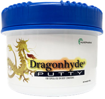 T-HEXX® DRAGONHYDE PUTTY 400 G JAR 1/PKG