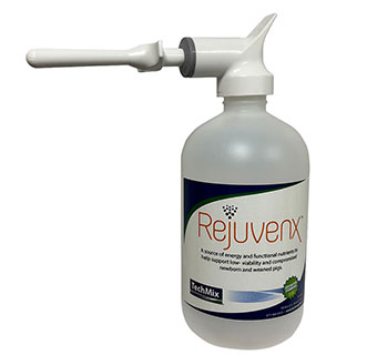 REJUVENX™ ENERGY AND NUTRIENT SUPPLEMENT FOR PIGLETS 16 OZ 1/PKG