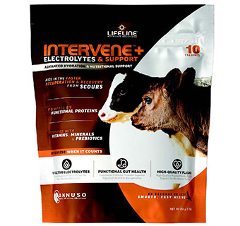 LIFELINE INTERVENE+ ELECTROLYTES & SUPPORT FOR CALVES 1 LB 1/PKG