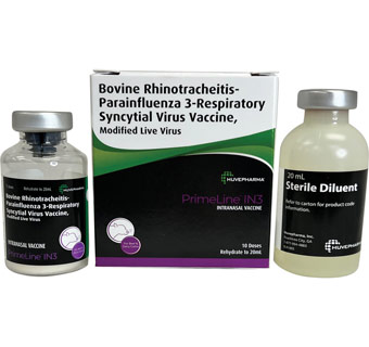 PRIMELINE® IN3 INTRANASAL CATTLE RESPIRATORY VACCINE 10 DOSE 20 ML