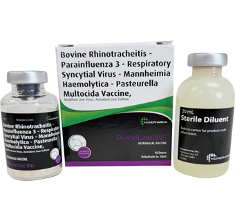 PRIMELINE® IN5 INTRANASAL CATTLE RESPIRATORY VACCINE 10 DOSE 20 ML