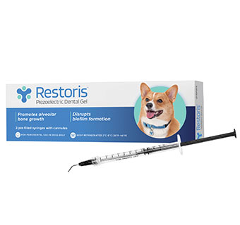 RESTORIS™ PIEZOELECTRIC DENTAL GEL 3/PKG
