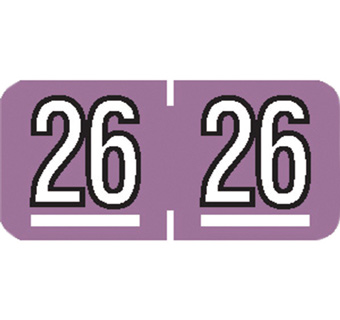 2026 YEAR LABEL 1-1/2 IN X 0.75 IN 500/PKG