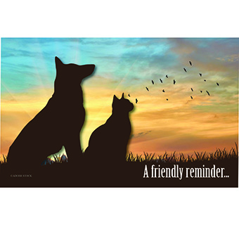 A FRIENDLY REMINDER BLANK POSTCARD 4 IN X 6 IN 100/PKG