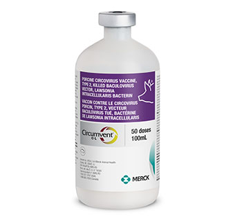 CIRCUMVENT® C-L PCV2 & LAWSONIA INJECTABLE VACCINE 50 DOSES 100 ML 1/PKG