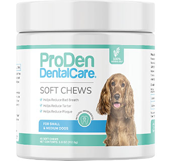PRODEN DENTALCARE® SOFT CHEWS FOR SMALL/MEDIUM DOGS 45/PKG