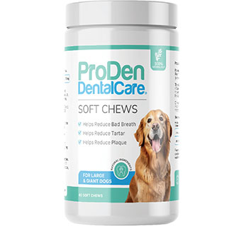 PRODEN DENTALCARE® SOFT CHEWS FOR LARGE/GIANT DOGS 45/PKG