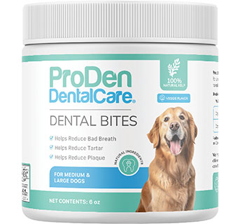PRODEN DENTALCARE® DENTAL BITES FOR LARGE/GIANT DOGS 6 OZ 1/PKG
