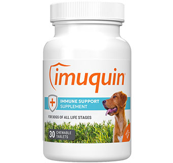 NUTRAMAX IMUQUIN® IMMUNE HEALTH SUPPLEMENT FOR DOGS 30 CHEWABLE TABLETS/BOTTLE