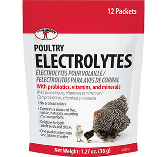 LITTLE GIANT® POULTRY ELECTROLYTE POWDER 3 G SINGLE-USE PACKET 12/PKG
