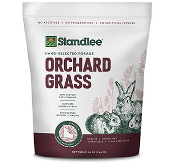 STANDLEE PREMIUM WESTERN FORAGE ORCHARD GRASS SMALL ANIMAL HAY 48 OZ 1/PKG