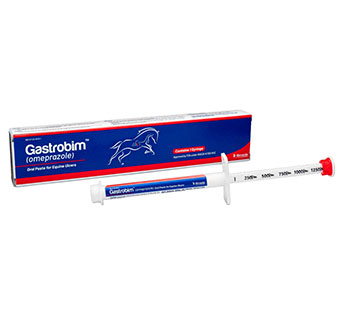 GASTROBIM™ (OMEPRAZOLE) ORAL PASTE FOR EQUINE ULCERS 6.15 G 1/PKG (RX)