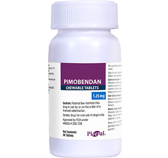 PIVETAL® PIMOBENDAN CHEWABLE TABLETS FOR DOGS 1.25 MG 50/BOTTLE (RX)