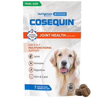 COSEQUIN® JOINT HEALTH SOFT CHEWS W/ MULTIFUNCTIONAL SUPPORT FOR DOGS 7/PKG