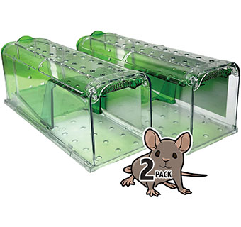 BILLY-BOB CATCH AND RELEASE MOUSE TRAP 2/PKG