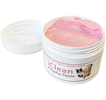 ICLEAN PROPHY PASTE BUBBLE GUM 200 G 1/PKG
