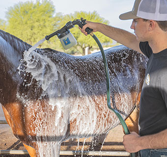 EZALL® MINI FOAMING HORSE SHAMPOO SPRAYER 16 OZ 1/PKG