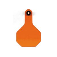 ALL-AMERICAN® 2-PIECE 3-STAR COMBO BLANK TAG MED ORANGE 1/PKG