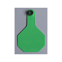 ALL-AMERICAN® 2-PIECE 3-STAR COMBO BLANK TAG MED GREEN 1/PKG