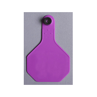 ALL-AMERICAN® 2-PIECE 3-STAR COMBO BLANK TAG MED PURPLE 1/PKG