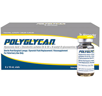 POLYGLYCAN® SOLUTION 10 ML 1/PKG