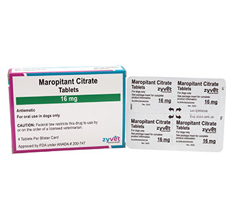 MAROPITANT CITRATE TABLETS 16 MG 4 TABLETS/BLISTER CARD (RX)