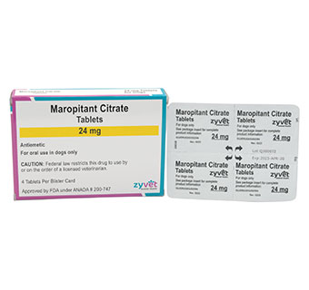 MAROPITANT CITRATE TABLETS 24 MG 4 TABLETS/BLISTER CARD (RX)