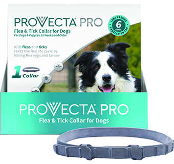 PROVECTA® PRO FLEA & TICK COLLAR FOR DOGS 1/PKG